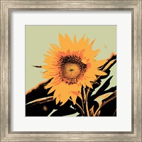 Framed 'Pop Art Sunflower II' border=