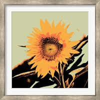 Framed Pop Art Sunflower II