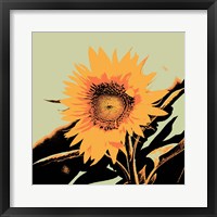 Framed 'Pop Art Sunflower II' border=