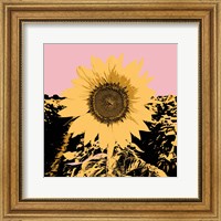 Framed Pop Art Sunflower III