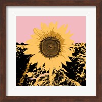 Framed 'Pop Art Sunflower III' border=
