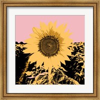 Framed Pop Art Sunflower III