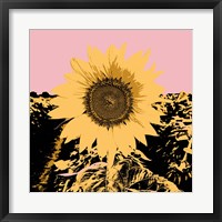 Framed Pop Art Sunflower III