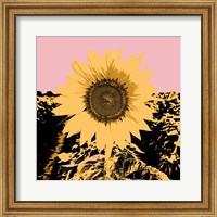 Framed Pop Art Sunflower III