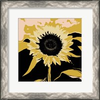 Framed Pop Art Sunflower IV