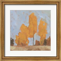 Framed Golden Seasons II