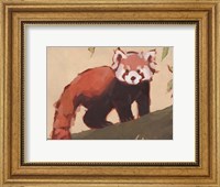 Framed Red Panda I