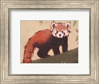Framed Red Panda I