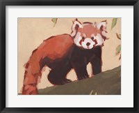 Framed Red Panda I