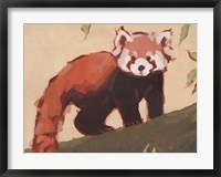 Framed Red Panda I