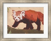 Framed Red Panda II