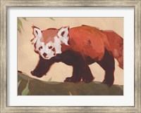 Framed Red Panda II