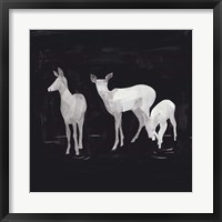 Framed Sophisticated Whitetail II