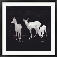 Framed Sophisticated Whitetail II