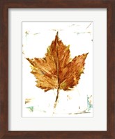 Framed Autumn Leaf Study I
