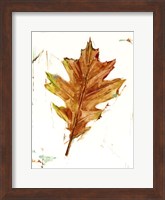 Framed Autumn Leaf Study II