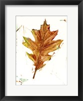 Framed Autumn Leaf Study II