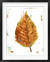 Framed Autumn Leaf Study III