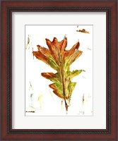 Framed Autumn Leaf Study IV