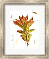 Framed Autumn Leaf Study IV
