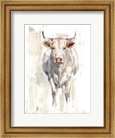 Framed Sunlit Cows II