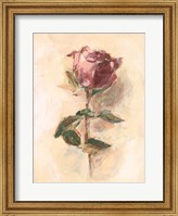 Framed Painterly Rose Study I