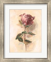 Framed Painterly Rose Study I