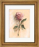 Framed Painterly Rose Study II