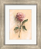 Framed Painterly Rose Study II