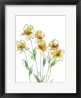 Framed Amber Tulips II