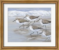 Framed Sandpipers I