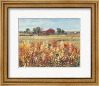 Framed Country View II
