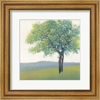 Framed Solitary Tree II
