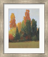 Framed Fall Colors I