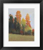 Framed Fall Colors II