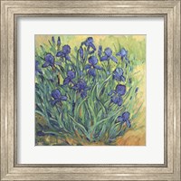 Framed Irises in Bloom II