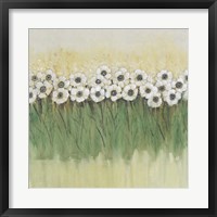 Rows of Flowers II Framed Print