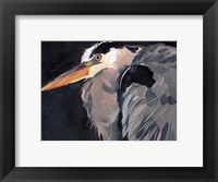 Framed Great Heron II