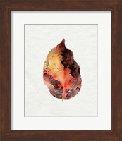 Framed Watercolor Autumn Leaf I