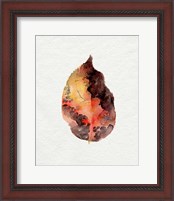 Framed 'Watercolor Autumn Leaf I' border=