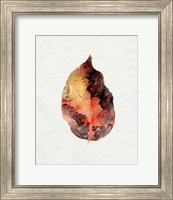 Framed 'Watercolor Autumn Leaf I' border=
