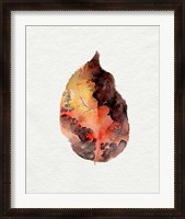 Framed Watercolor Autumn Leaf I