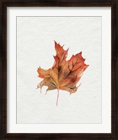 Framed Watercolor Autumn Leaf II