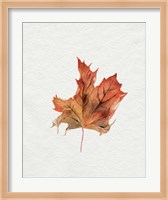 Framed Watercolor Autumn Leaf II