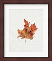 Framed Watercolor Autumn Leaf II