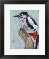 Framed Woodpecker Paintstrokes I
