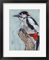 Woodpecker Paintstrokes I Framed Print