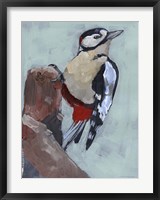 Framed Woodpecker Paintstrokes II