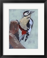 Woodpecker Paintstrokes II Framed Print