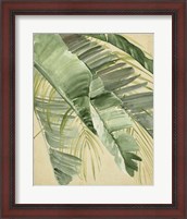 Framed 'Banana Palms I' border=